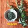 Mugwort Powder incense 1 oz free ship