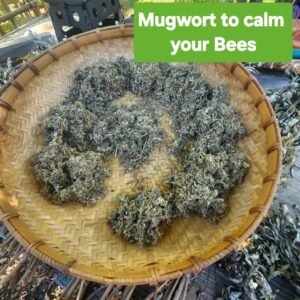 Bee Smoker Mugwort