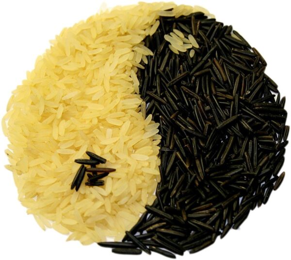 rice, yin and yang, meal, food, edible, aisén, rice, rice, rice, rice, rice